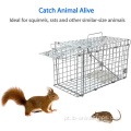 Armadilha de esquilo colapsível Humane Live Squirrel Cage Trap